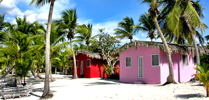 A View of Red and Pink Beach Houses
